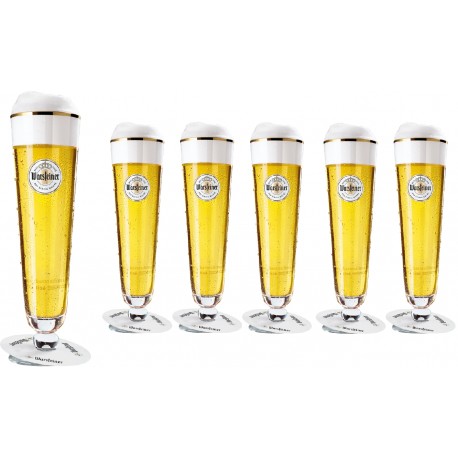 Tulipa Warsteiner - cx 6unids 200ml